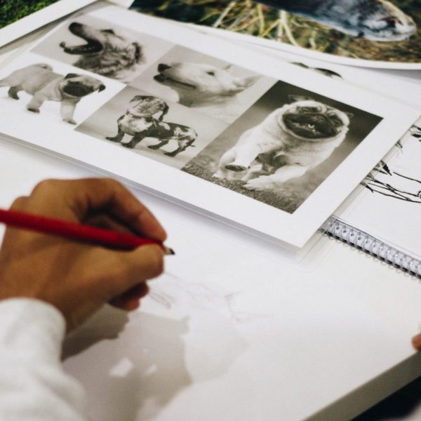 Social Media Photography Packages